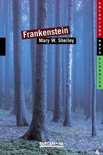 FRANKENSTEIN | 9788448930387 | SHELLEY, MARY | Llibreria infantil i juvenil