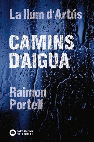 CAMINS D'AIGUA | 9788448942144 | PORTELL, RAIMON | Llibreria infantil i juvenil