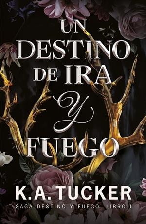 UN DESTINO DE IRA Y FUEGO | 9788419621085 | TUCKER, K.A. | Llibreria infantil i juvenil