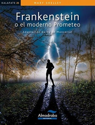 FRANKENSTEIN O EL MODERNO PROMETEO | 9788483088203 | SHELLEY, MARY | Llibreria infantil i juvenil