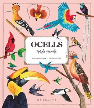 OCELLS | 9788419095534 | ESCOBAR, DIANA/ORTEGA, RENA | Llibreria infantil i juvenil