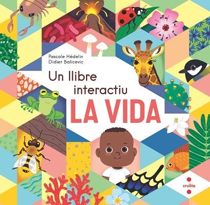 LA VIDA UN LLIBRE INTERACTIU | 9788466154864 | HÉDELIN, PASCALE/BALICEVIC, DIDIER | Llibreria infantil i juvenil