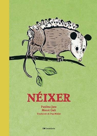 NÉIXER | 9788413562148 | JARA, PAULINA | Llibreria infantil i juvenil