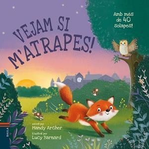 VEJAM SI M'ATRAPES ! | 9788447950676 | ARCHER, MANDY | Llibreria infantil i juvenil