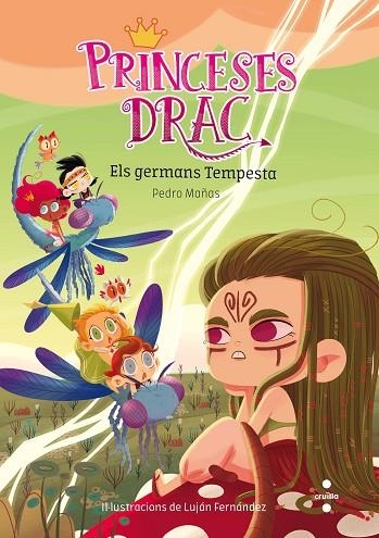 PRINCESES DRAC 5 ELS GERMANS TEMPESTA | 9788466143769 | MAÑAS ROMERO, PEDRO | Llibreria infantil i juvenil