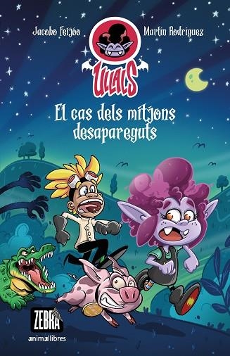 EL CAS DELS MITJONS DESAPAREGUTS | 9788419659101 | FEIJÓO, JACOBO | Llibreria infantil i juvenil