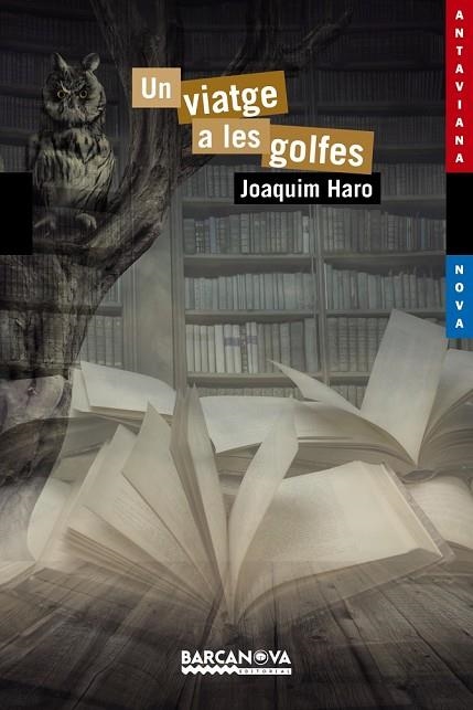UN VIATGE A LES GOLFES | 9788448938598 | HARO, JOAQUIM | Llibreria infantil i juvenil