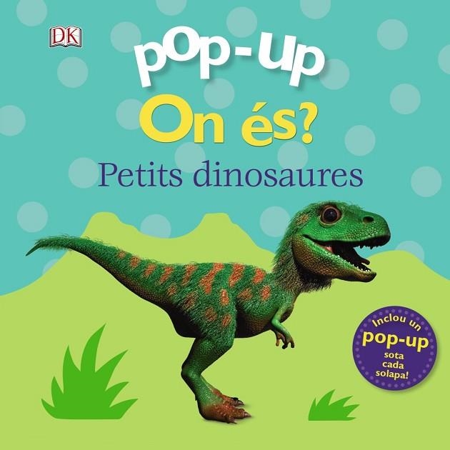 ON ÉS ? ELS DINOSAURES ( POP-UP ) | 9788499063270 | LLOYD, CLARE | Llibreria infantil i juvenil