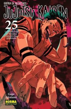 JUJUTSU KAISEN 25 | 9788467971743 | AKUTAMI, GEGE | Llibreria infantil i juvenil