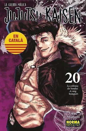 JUJUTSU KAISEN 20 ( CATALÀ ) | 9788467969924 | AKUTAMI, GEGE