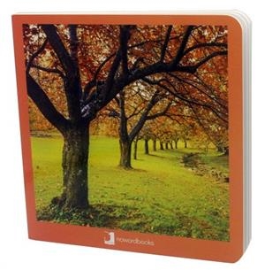 OTOÑO ( 19  ) | 9788494585852 | NOWORDBOOKS | Llibreria infantil i juvenil