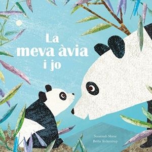 LA MEVA ÀVIA I JO | 9788419974013 | SHANE, SUSANNAH/TECKENTRUP, BRITTA | Llibreria infantil i juvenil