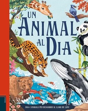 UN ANIMAL AL DIA | 9788447953189 | SMITH, MIRANDA | Llibreria infantil i juvenil