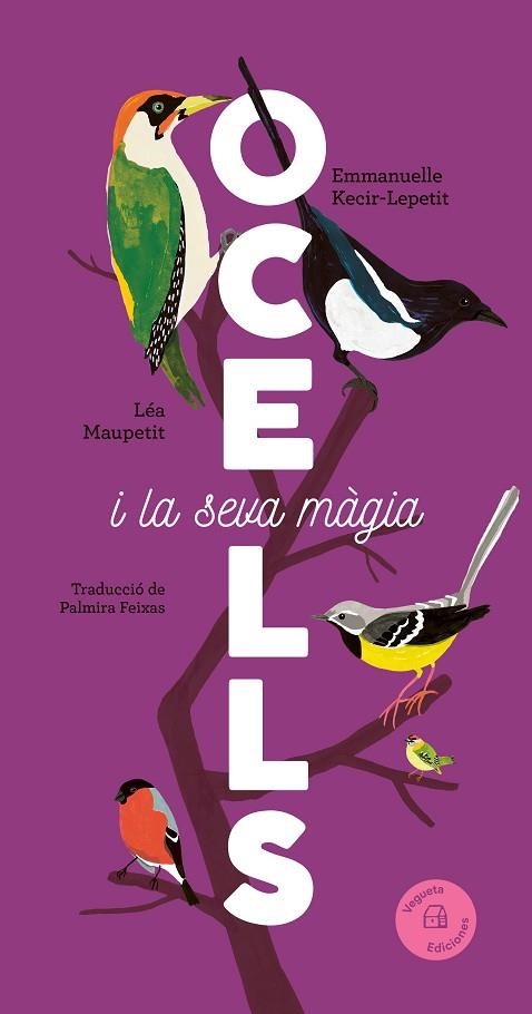 OCELLS | 9788419794376 | KECIR-LEPETIT, EMMANUELLE | Llibreria infantil i juvenil