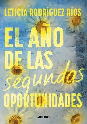 EL AÑO DE LAS SEGUNDAS OPORTUNIDADES | 9788427242807 | RODRÍGUEZ RÍOS, LETICIA | Llibreria infantil i juvenil