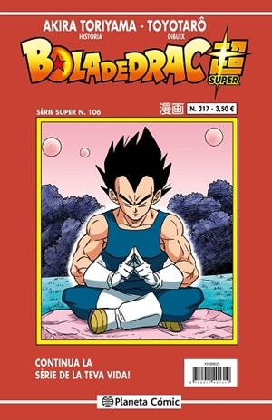 BOLA DE DRAC SERIE VERMELLA N. 317 | 9788411616591 | TORIYAMA, AKIRA | Llibreria infantil i juvenil