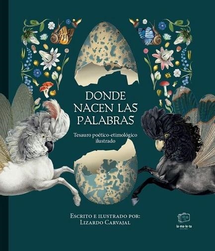 DONDE NACEN LAS PALABRAS | 9788418232749 | CARVAJAL, LIZARDO | Llibreria infantil i juvenil