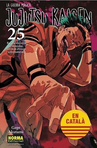 JUJUTSU KAISEN 25 CATALA | 9788467969979 | AKUTAMI, GEGE | Llibreria infantil i juvenil
