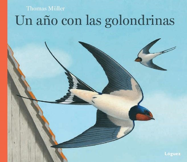 UN AÑO CON LAS GOLONDRINAS | 9788494429514 | MÜLLER, THOMAS | Llibreria infantil i juvenil