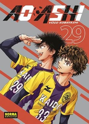 AO ASHI 29 | 9788467973044 | KOBAYASHI, YUGO | Llibreria infantil i juvenil
