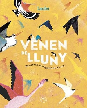 VENEN DE LLUNY | 9788482897349 | LAUFER (LAURA FERNÁNDEZ ARQUISOLA) | Llibreria infantil i juvenil