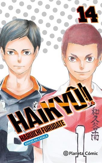 HAIKYÛ !! N. 14/45 ( CATALÀ ) | 9788411618090 | FURUDATE, HARUICHI | Llibreria infantil i juvenil