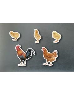 MAGNÉTICOS FAMILIAS GALLINAS | 0760412890964 | VV. AA | Llibreria infantil i juvenil