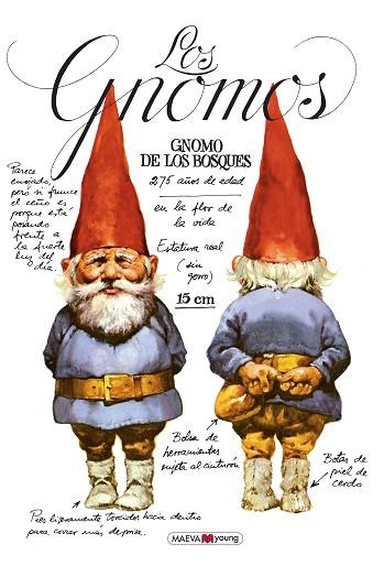 LOS GNOMOS | 9788410260955 | HUYGEN, WIL/POORTVLIET, RIEN | Llibreria infantil i juvenil
