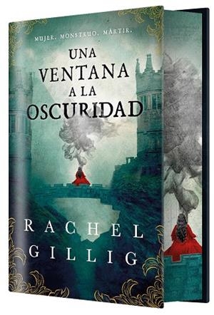 UNA VENTANA A LA OSCURIDAD ( EDICIÓN ESPECIAL LIMITADA ) | 9788410163850 | GILLIG, RACHEL | Llibreria infantil i juvenil
