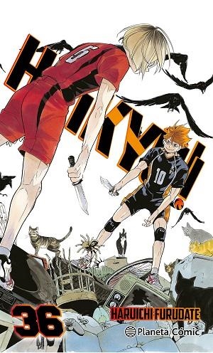 HAIKYÛ!! 36 | 9788411619370 | FURUDATE, HARUICHI