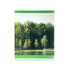 PRIMAVERA | 9788412960549 | Llibreria infantil i juvenil