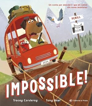 IMPOSSIBLE! | 9788419912428 | CORDEROY, TRACEY | Llibreria infantil i juvenil